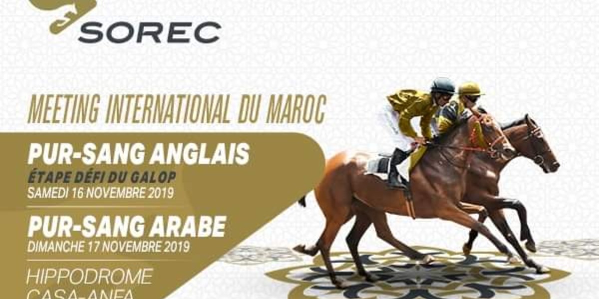 صورة الدار البيضاء تحتضن النسخة الخامسة للملتقى الدولي لسباقات الخيول