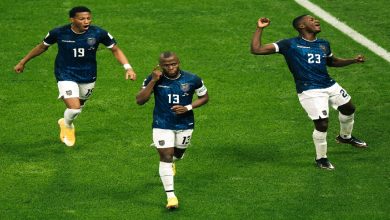 صورة كأس العالم.. التعادل الإيجابي يحسم لقاء الإكوادور وهولندا