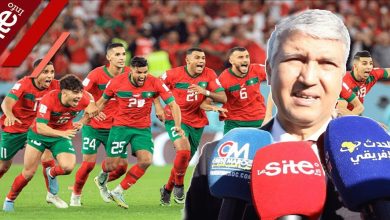 صورة وزير الفلاحة محمد صديقي يشيد بالانجاز التاريخي للمنتخب المغربي في كأس العالم- فيديو
