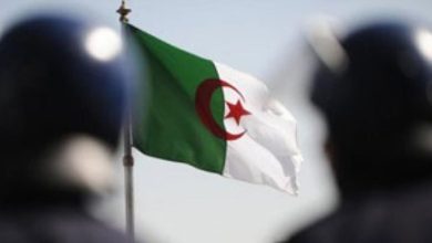 صورة بعد كرة القدم.. سلطات الجزائر تتدخل وتتسبب في عقوبات جديدة