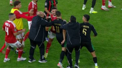 صورة تقارير.. الأهلي يدرس القيام بإجراء يهم الأحداث التي شهدتها مباراته أمام الجيش الملكي