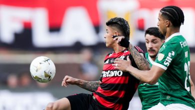 صورة فلامينغو يفوز على بالميراس ويحقق كأس “كوبا ليبرتادوريس”