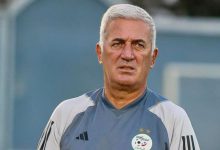 صورة بيتكوفيتش يكشف عن قائمة الجزائر المشاركة في كأس إفريقيا