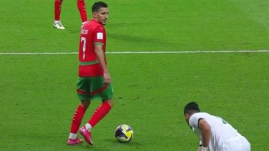 صورة لقطة بولكسوت أمام سوريا تجتاح منصات التواصل الاجتماعي- صورة