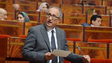 صورة سعد برادة: اعتمدنا استراتيجية للحد من الشغب الرياضي