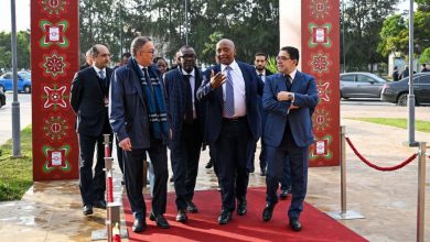 صورة خبير قانوني يرد على الكاف ويقدم نصائحه لجامعة فوزي لقجع