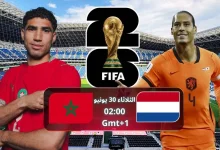 صورة هولندا تهزم تونس وتضرب موعدا ناريا مع الأسود