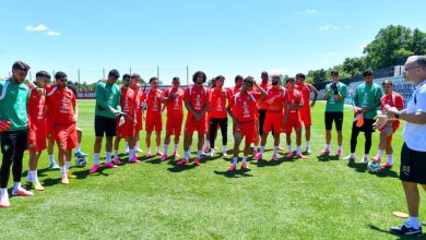 صورة العمل على الجوانب التكتيكية وتطوير بعض الجمل.. الكشف عن تفاصيل الحصة التدريبية للأسود