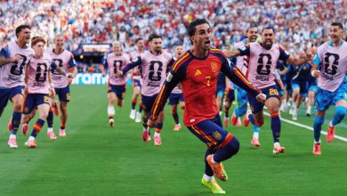 صورة توريس يسجل الهدف الأغلى لإسبانيا ويقودها لتحقيق كأس العالم